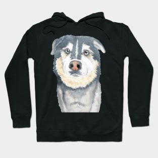 dog watercolor painting portrait pet Hoodie